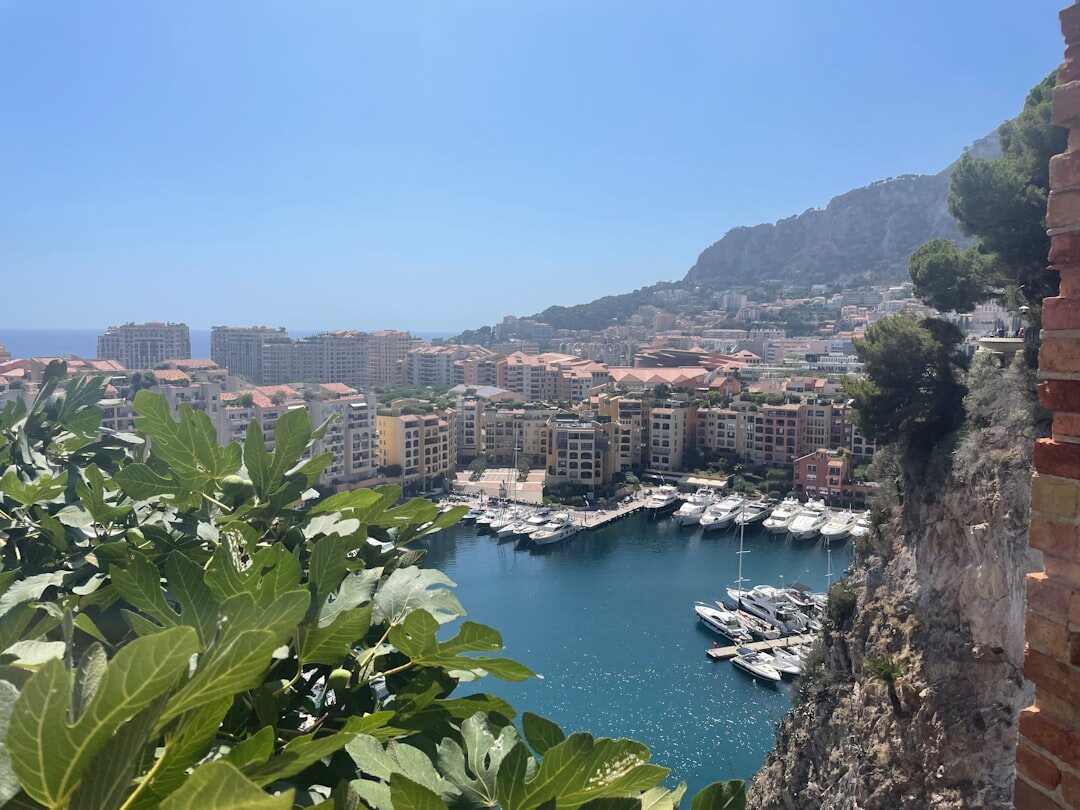 monaco luxury villa